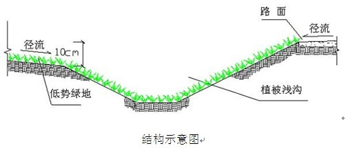 植被淺溝