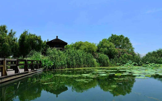 園林改造植物造（zào）景